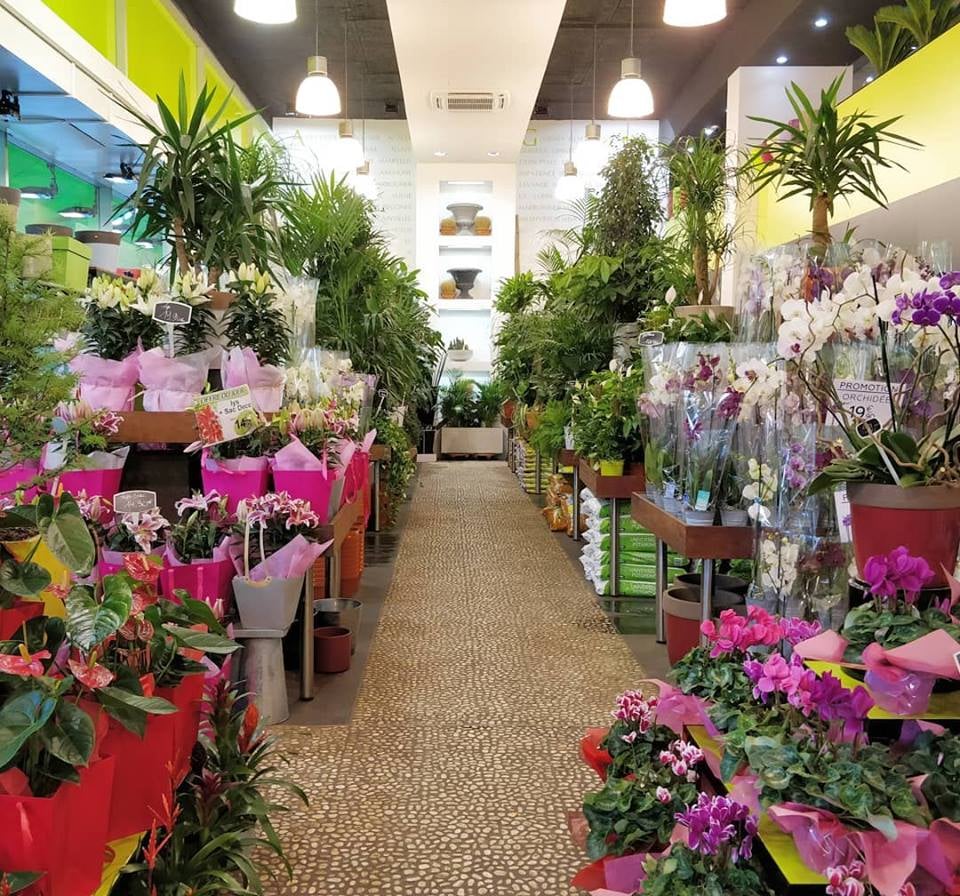 La Jardinerie by Espace Fleurs 1